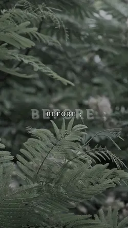 Before Vs After