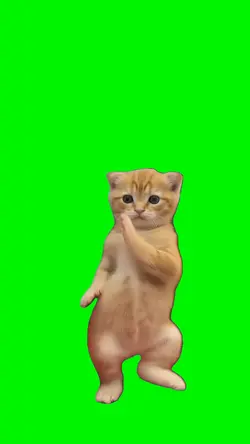 Dancing Cat Meme