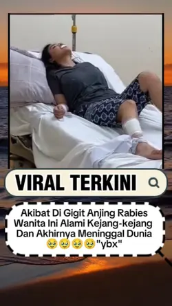 kisah nyata