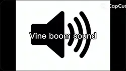 Vine boom sound 