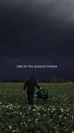 Motivation | Qoute