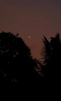 Bulan