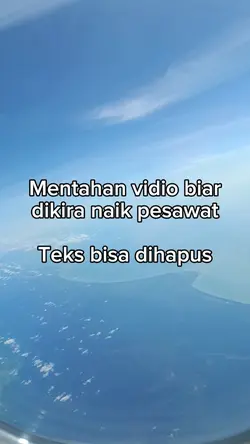 Naik pesawat