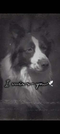 I miss you