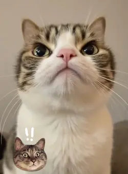 😝