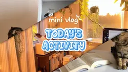 Today's Activity