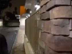 arcade craniacs