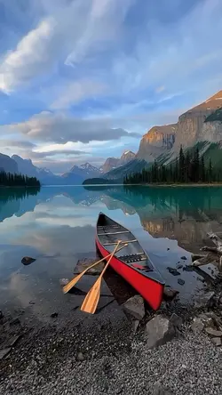 Mini Vlog