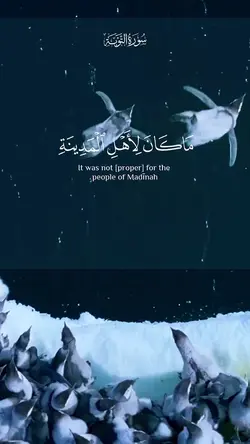 Surah Tawbah 