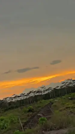 BLUR FILTER 4K