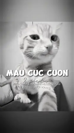 2 ẢNH GIẬT GIẬT CHÁY