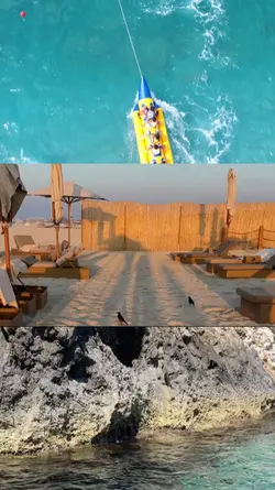 3 Grid Video