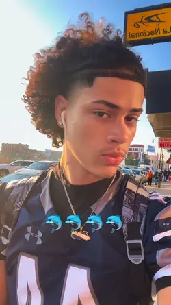 Dolphin Trend