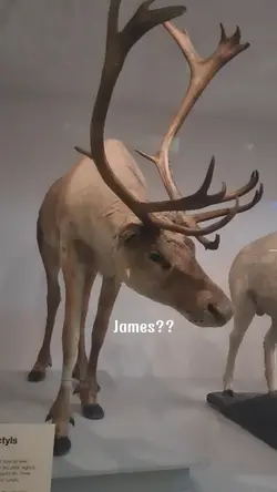 JAMES???