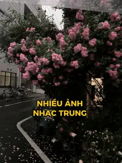 Nhạc Trung nhiều ảnh