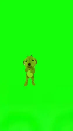 OOF Dog