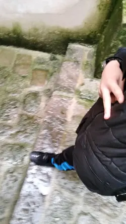 la sagacité