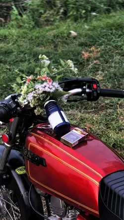 aku datang melamar..