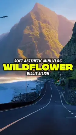 WILDFLOWER 