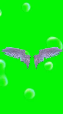 WINGS