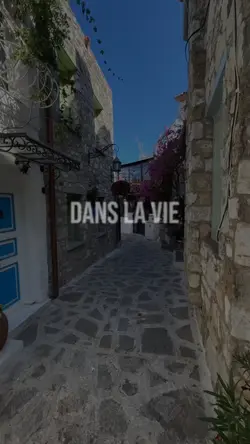 dans la vie