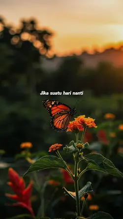 wasiat cintaku