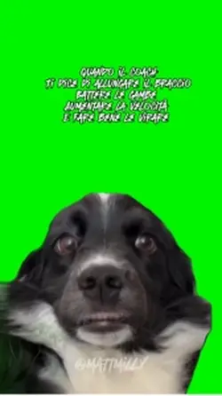 meme cane 