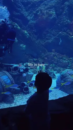 life in june