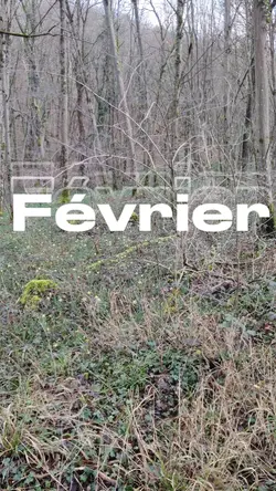 Recap février 