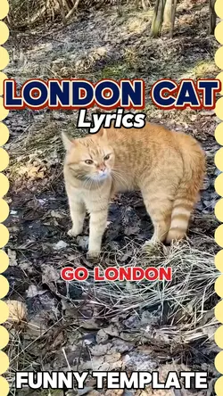 London cat 