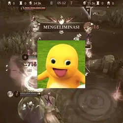 numpa koaci