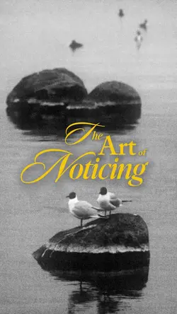 The art of noticing