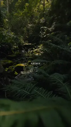 nature, therapy