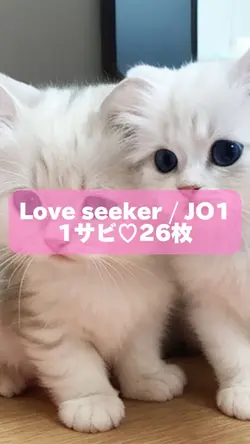 JO1 Love seeker 1サビ