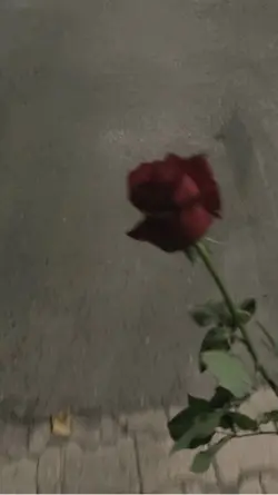Takdir Cinta