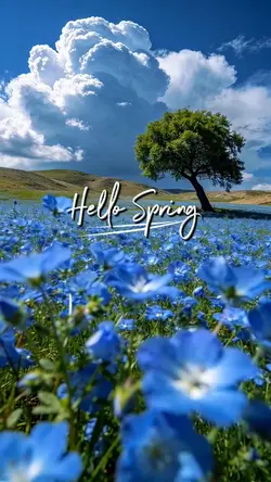 Hello Spring