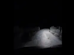 Kangoroo cars