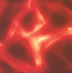 Red light