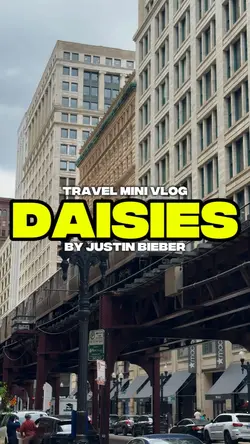 DAISIES