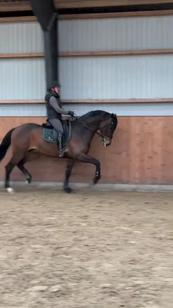 One clip eq slomo
