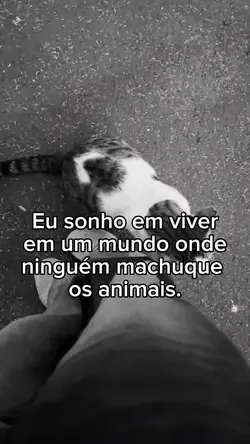 Seria tão bom…