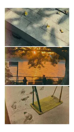 aesthetic
