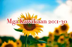 Mga Kawikaan 20:1-30