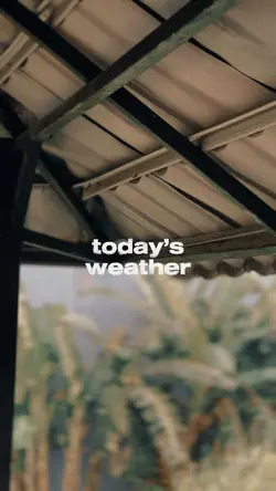 Today’s Weather