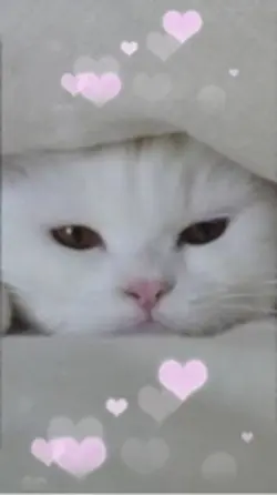 かわいい♡APT 写真1枚