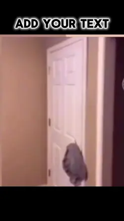 breaking door meme