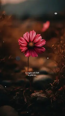Hôn Lễ Của Em 