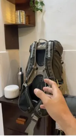 barasuara versi alam