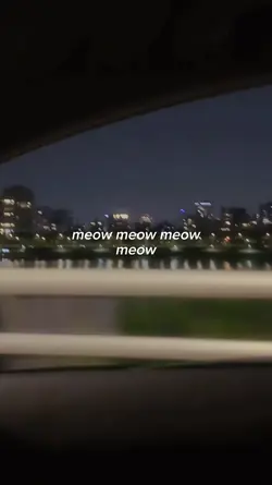 cat ai sad lyrics 