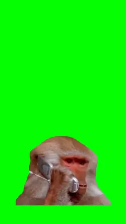 MONKEY CALLING 